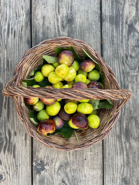 Noto: Farm to Fork in Sicily - Cooking Class in a Farm - Learning Sicilian cooking with Annarella