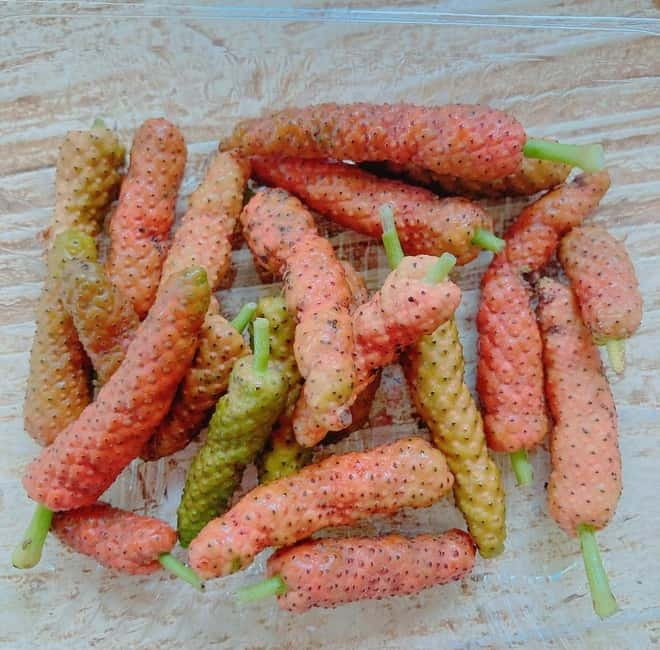 Okinawa: Traditional farming experience & cooking and a meal - A farm-to-table morning on Sesoko Island