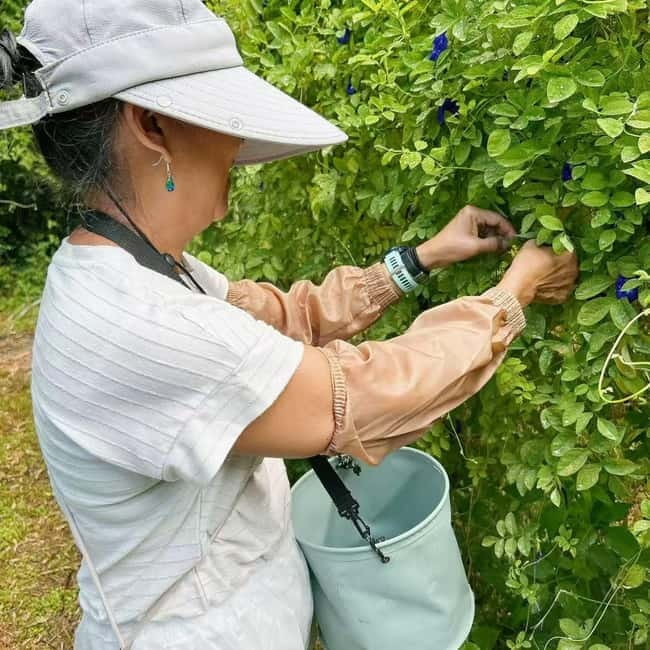 Okinawa: Traditional farming experience & cooking and a meal - Cooking with what you just harvested