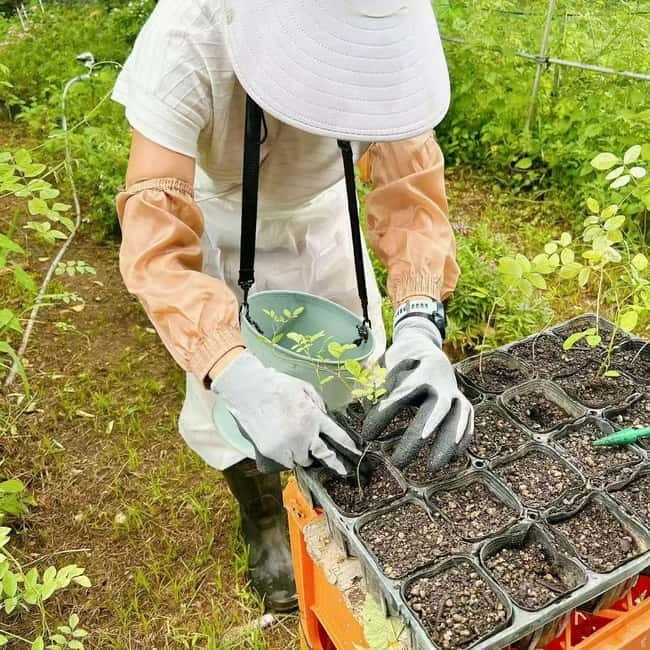 Okinawa: Traditional farming experience & cooking and a meal - What $61 includes, and where the value sits