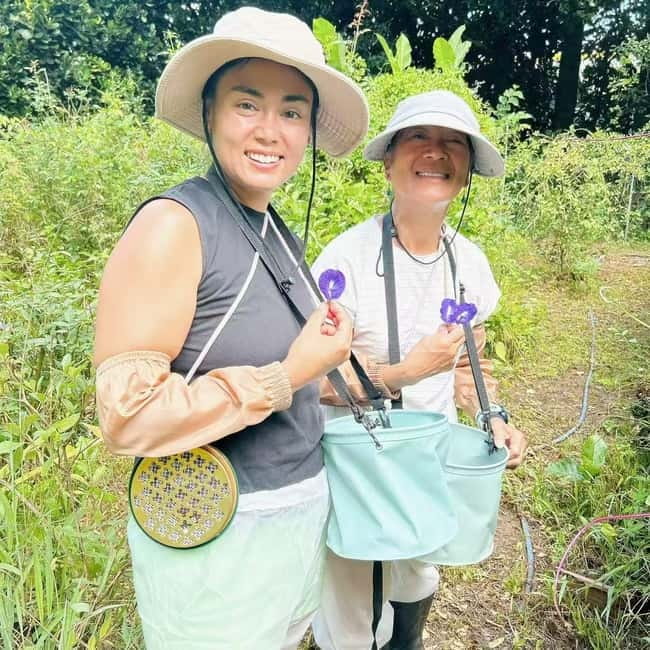 Okinawa: Traditional farming experience & cooking and a meal - Who should book this Sesoko Island experience