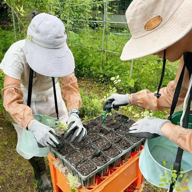 Okinawa: Traditional farming experience & cooking and a meal - Booking advice and final verdict