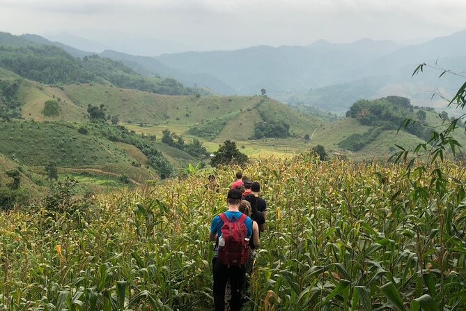 One Day Trekking Chiang Rai Jungle Adventure and Bamboo Cooking - Starting near Pha Soet at 9 in the morning