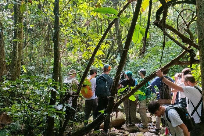 One Day Trekking Chiang Rai Jungle Adventure and Bamboo Cooking - Walking onward to the jungle waterfall