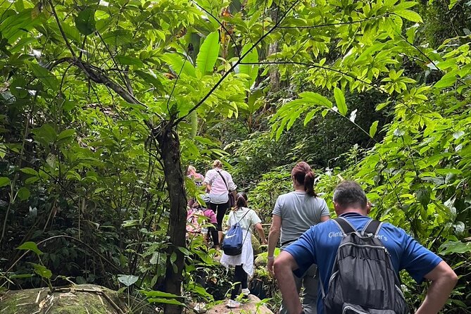 One Day Trekking Chiang Rai Jungle Adventure and Bamboo Cooking - Walking through a Lisu village