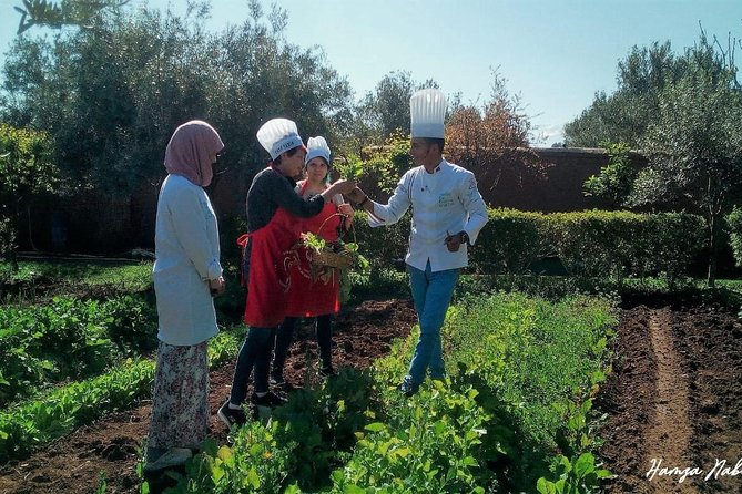 Organic Moroccan Cooking Class At Secret Berber Garden CT - What the $69.79 price really covers