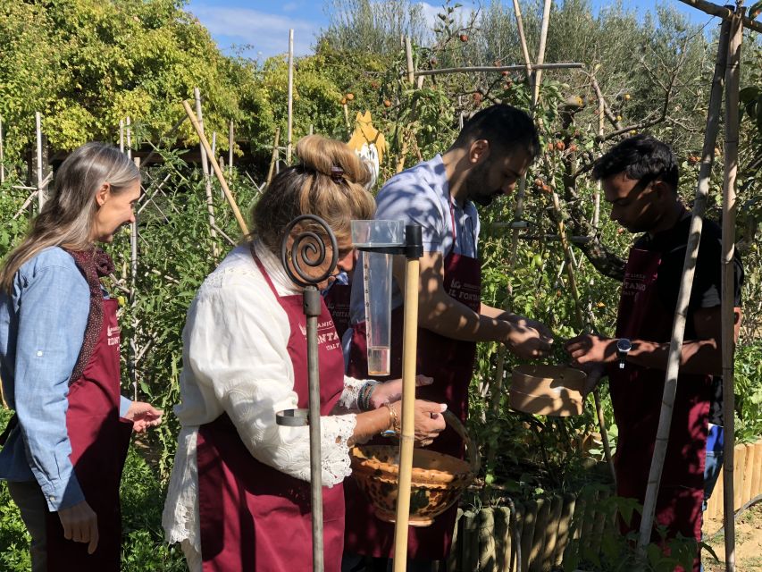Paciano: Organic Cooking Class at a Farm with Lunch & Wine - What the three-hour schedule feels like