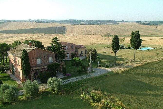 Pasta and Pizza cooking class in Cortona - Starting with pizza dough at 11:00 am