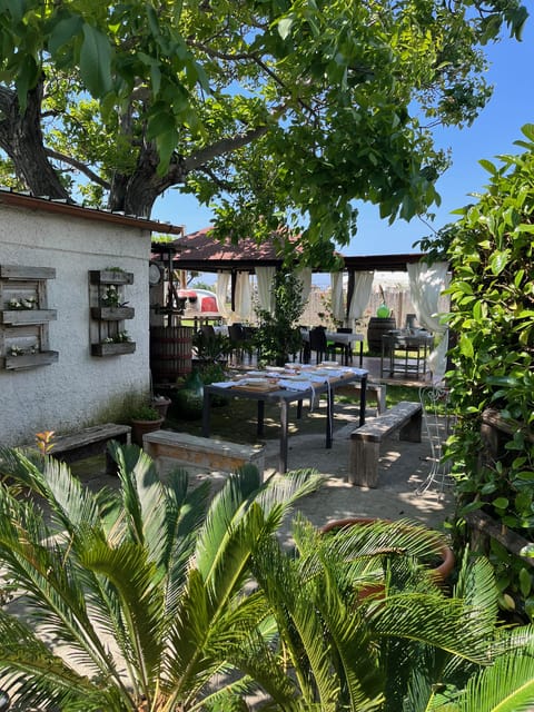 Pasta Cooking Class in a Garden near Pompeii - Who will enjoy this most?