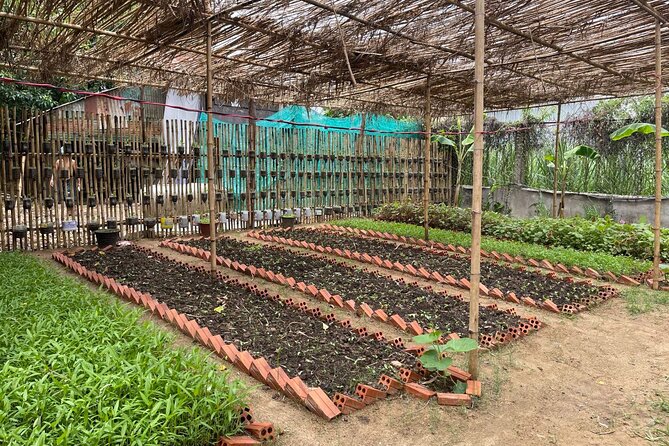Phnom Penh’s Hands-On Khmer Cooking Class in the Countryside - Should you book the Arey Ksat cooking class?