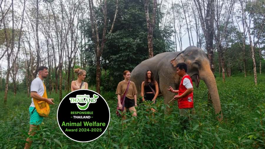 Phuket: Elephant Sanctuary Tour, Cooking Class & Lunch - Key points to know before booking