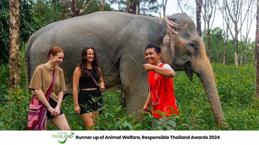 Phuket: Elephant Sanctuary Tour, Cooking Class & Lunch - Why the elephants are the real focus