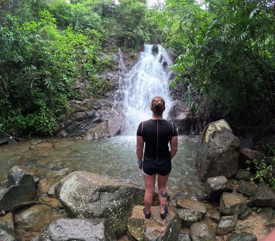 Phuket: Elephant Sanctuary Tour, Cooking Class & Lunch - Walking through the reserve
