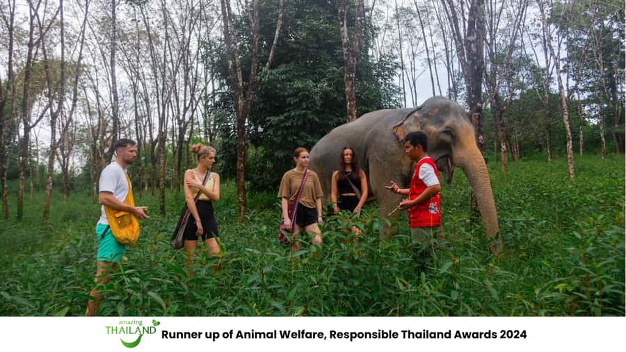 Phuket: Elephant Sanctuary Tour, Cooking Class & Lunch - The two-hour ride from Phuket