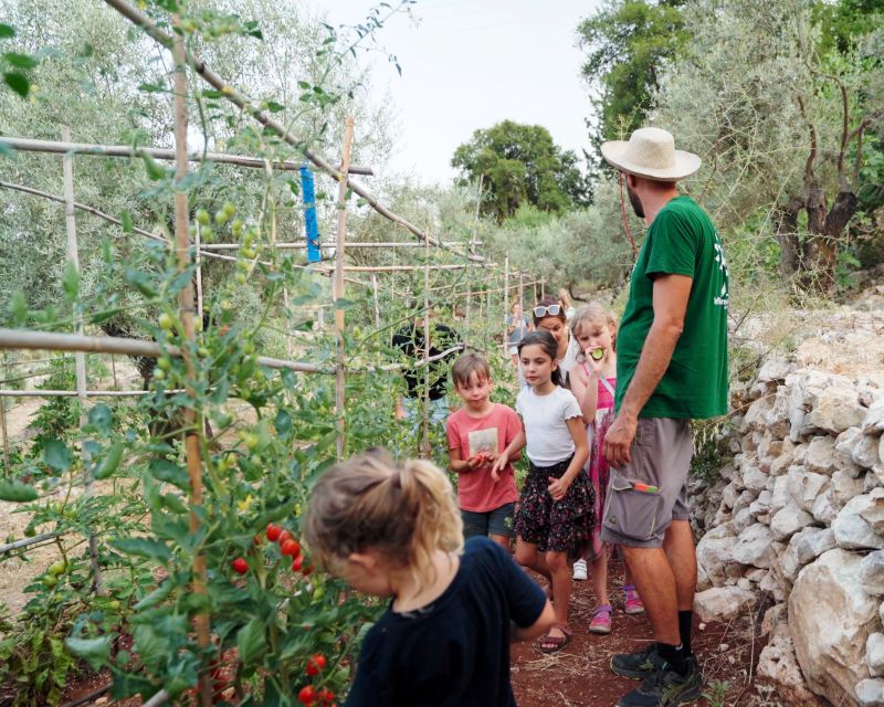 Phyllo Pie Baking Class @ Lefkada Micro Farm - Four fillings, from wild greens to baklava