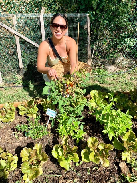 Pick Vegetables at the farm & Cook pasta - Key points to know before booking