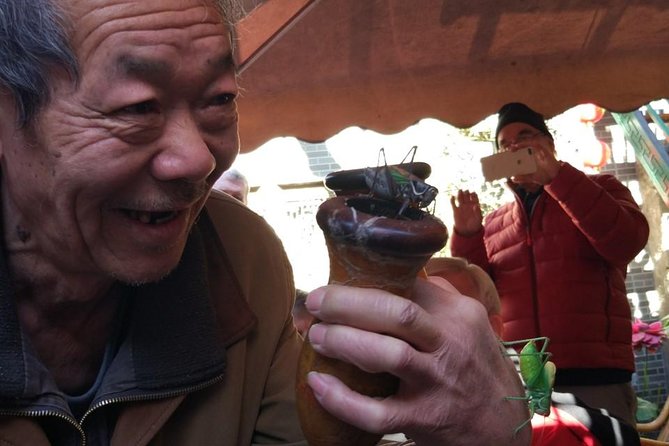 Private Hutong Culture Tour with Dumpling Cooking Class plus Cricket Fighting Game - A rickshaw reveals the scale of Beijing’s hutongs