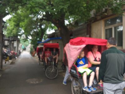 Private Hutong Culture Tour with Dumpling Cooking Class plus Cricket Fighting Game