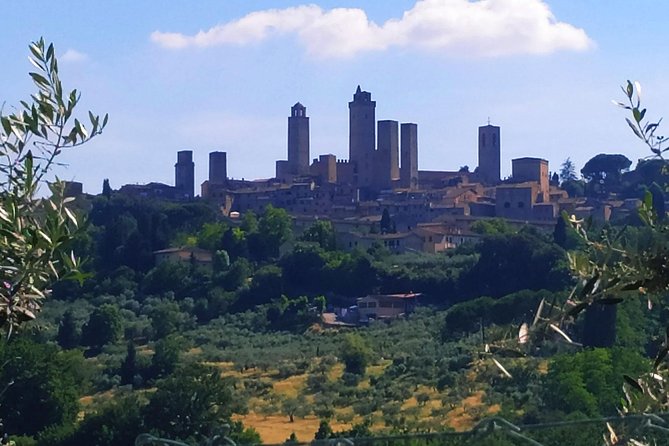 Private Tuscan Cooking Class And Wine Tasting in Radda in Chianti - Who will enjoy this class most