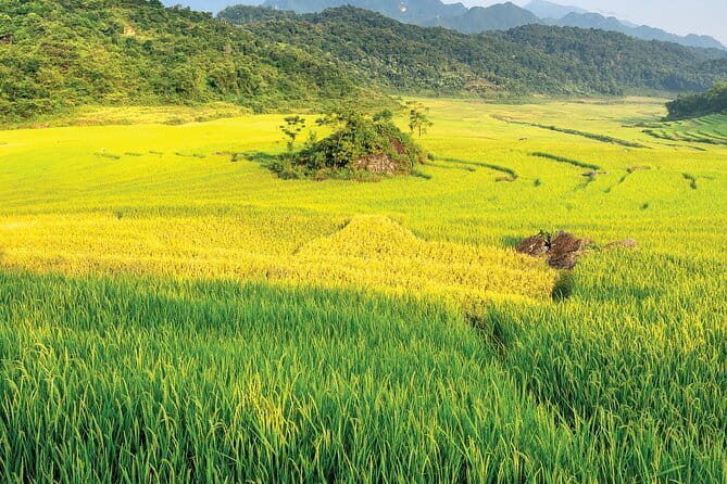 Pu Luong 3-Day Adventure: Trekking, Cycling & Local Cooking Class - At a glance