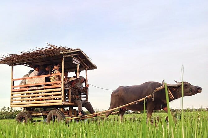 Pu Luong 3-Day Adventure: Trekking, Cycling & Local Cooking Class - Why Pu Luong feels different from a Hanoi day trip
