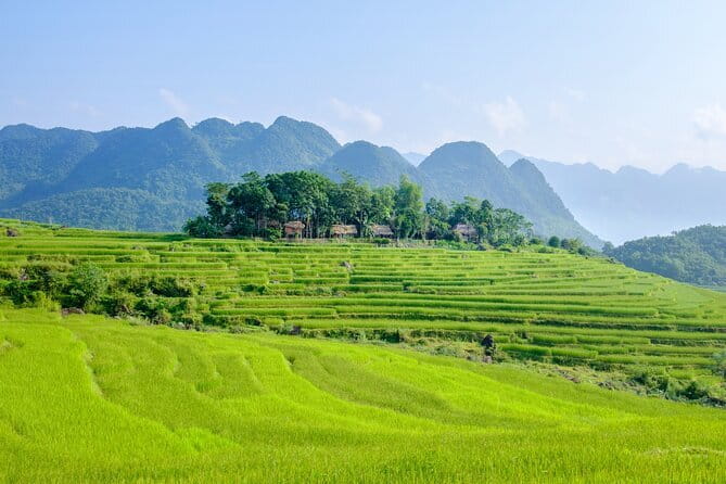 Pu Luong 3-Day Adventure: Trekking, Cycling & Local Cooking Class - What the guides add to the experience