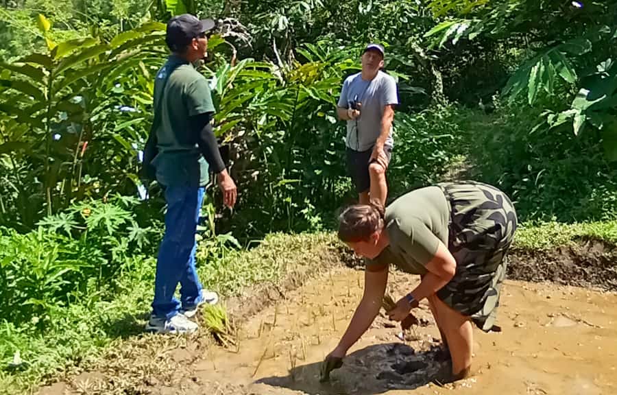 Pure Bali Village Experience Cooking & Jamu Class, Transfer - A full day in Bali’s mountain country