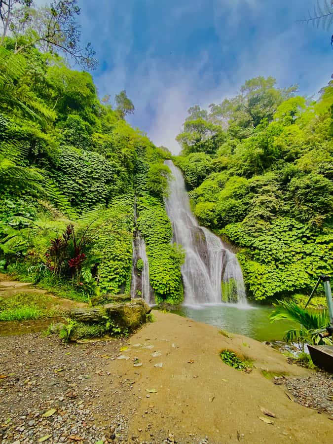 Quad ride, waterfalls & aunthentic cooking class in munduk - Coffee plants, blue hydrangeas, and rural stops