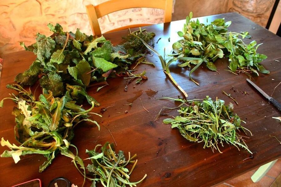 Ragusa Countryside Home Cooking Class & Meal - A country kitchen outside Chiaramonte Gulfi