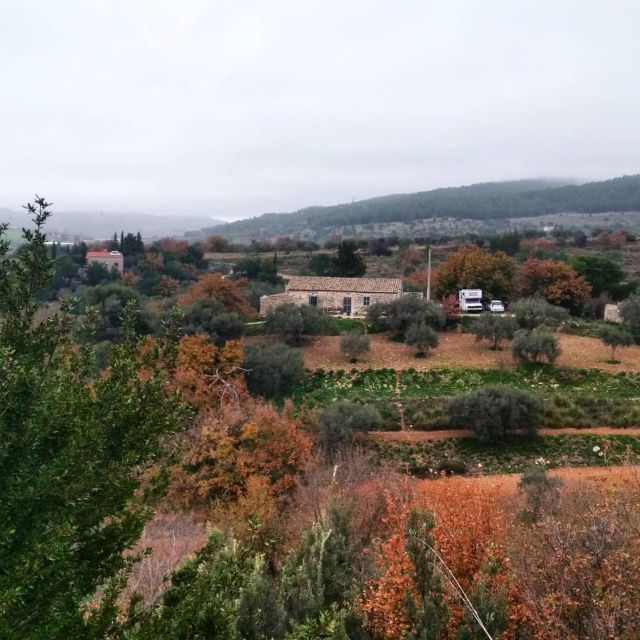Ragusa Countryside Home Cooking Class & Meal - The value of $118.95 for 4.5 hours