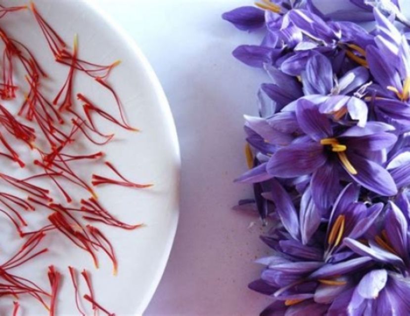 Recco: Cooking Class with Market Visit and Sea Views - Why Recco makes a good food stop