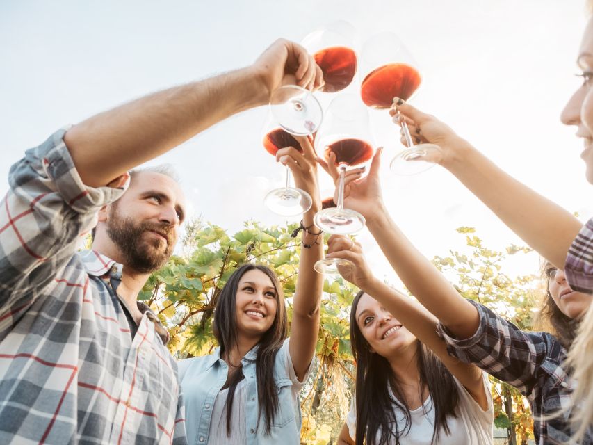 Rhodes: Winery Tour, Tasting and cooking with the Winemaker - A final taste of tsipouro