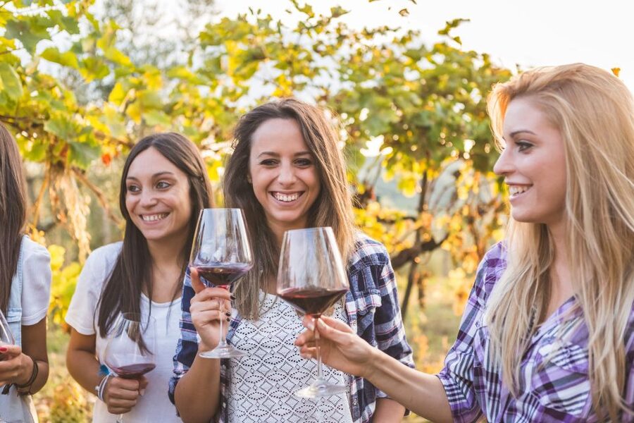 Rhodes: Winery Tour, Tasting and cooking with the Winemaker - Group size, language, and atmosphere