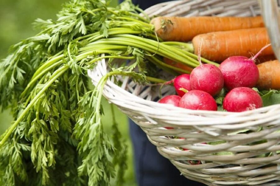 Rome: Cooking Lesson to learn the Secrets of Italian Cuisine - Key points to know before booking