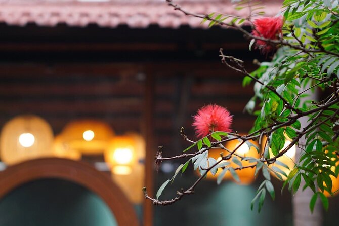 Rose Kitchen Hanoi: Market, Cooking & Culture Tour + Free PickUp - Who will enjoy this class most