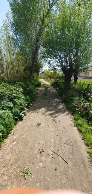 Samarkand: Village Tour with Plov Cooking Class & Home Visit