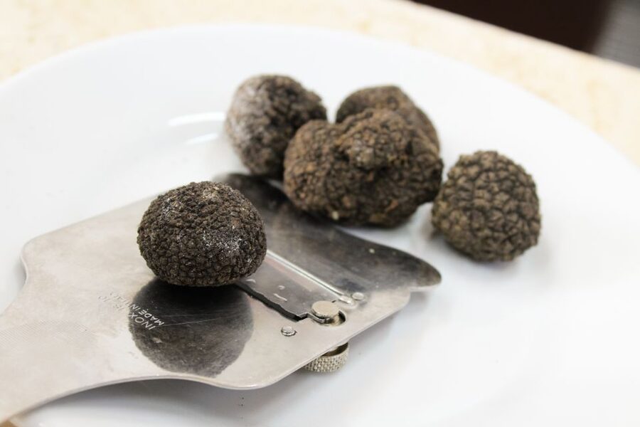 San Gimignano: Truffle Cooking Class with Wine Tasting - What makes the San Gimignano truffle class special
