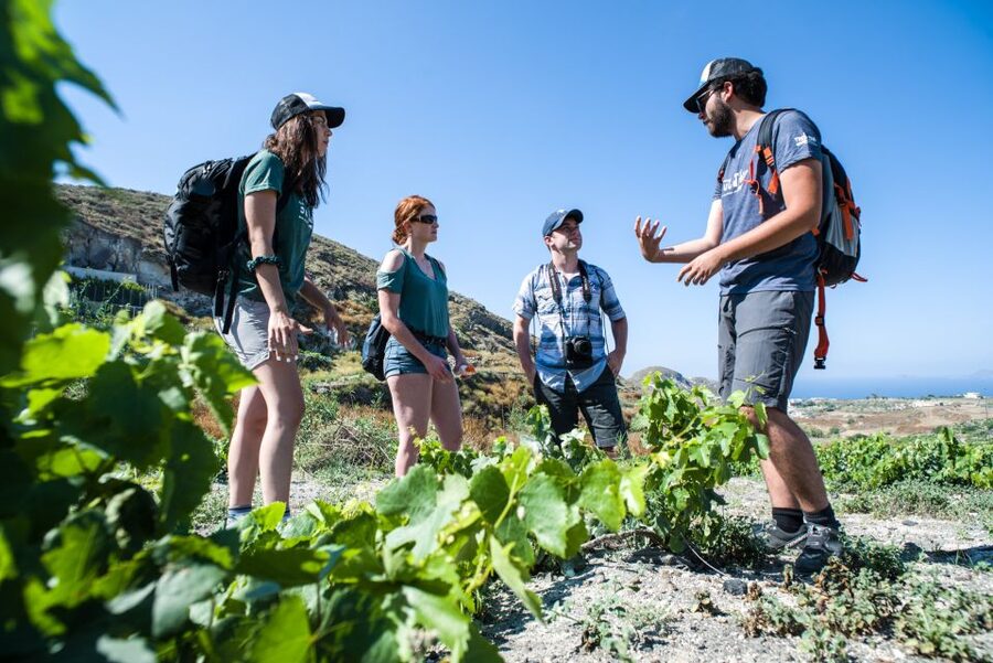 Santorini: Cooking Class and Easy Hike - Cooking with a local chef and Anna