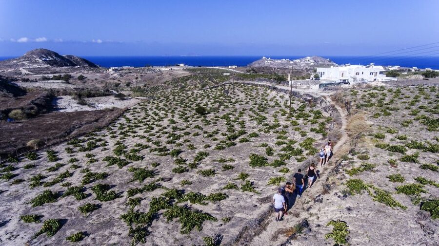 Santorini: Cooking Class and Easy Hike - Who should book this Santorini experience