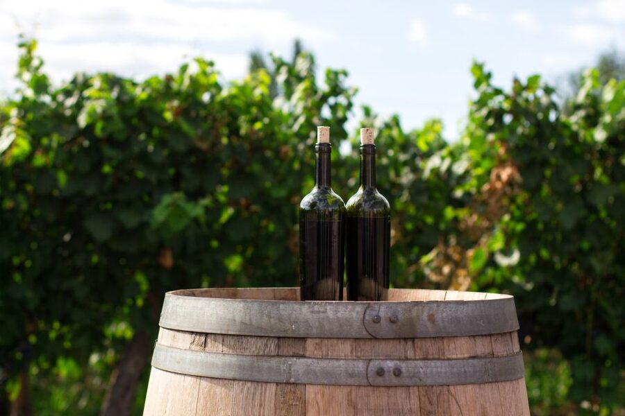 Santorini: Greek Cooking Class with Wine Tasting - Tasting Assyrtiko and Nykteri at the Winery