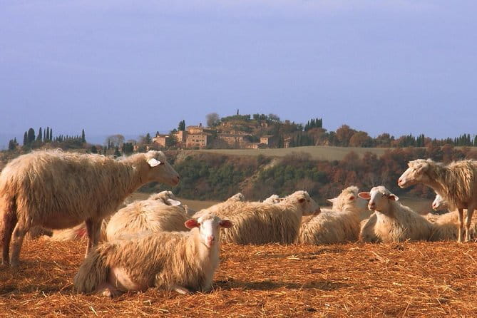 Semi-Private Gluten-Free Cooking Class in Florence - Sitting down to eat what you made