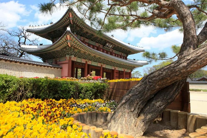 Seoul: Temple Vegan Cooking Class & Oriental Medicine Tour - What the $76 price includes