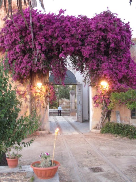 Sicilian cooking class in the historic baglio Florio Adamo - Key points to know before booking