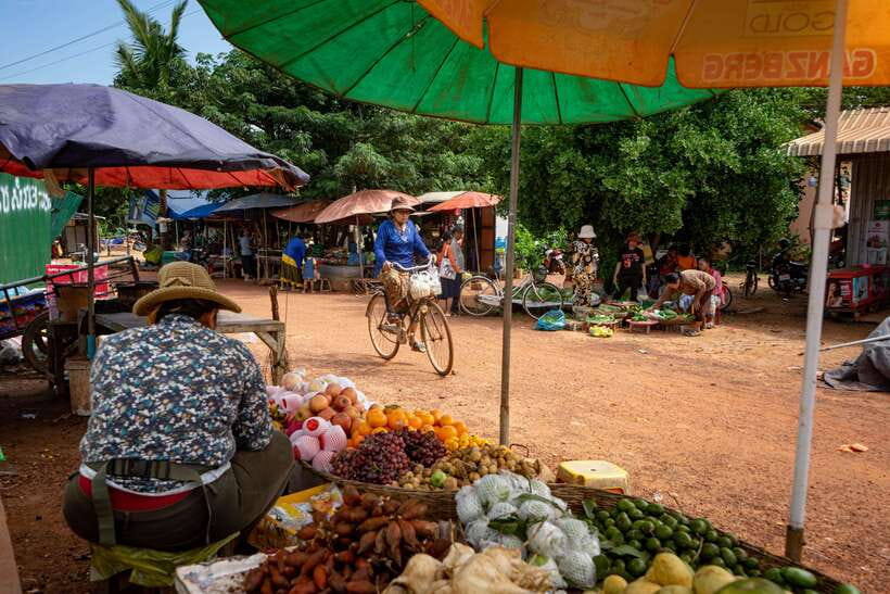 Siem Reap: Afternoon Cooking Class & Village Tour - A village walk before the cooking begins