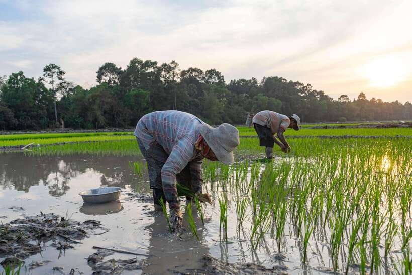 Siem Reap: Afternoon Cooking Class & Village Tour - Taking Khmer recipes home