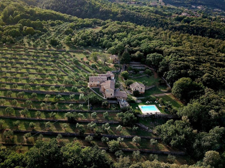 Siena countryside: cooking class in a real Tuscan farmhouse - From seasonal starters to dessert