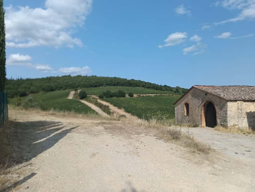 Siena: Small-group Cooking Class in a Chianti Farm - Why this class works well near Siena