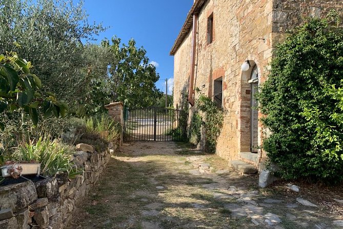 Siena: Small group Cooking Class in Chianti Farmhouse - Small group, family, and teen appeal