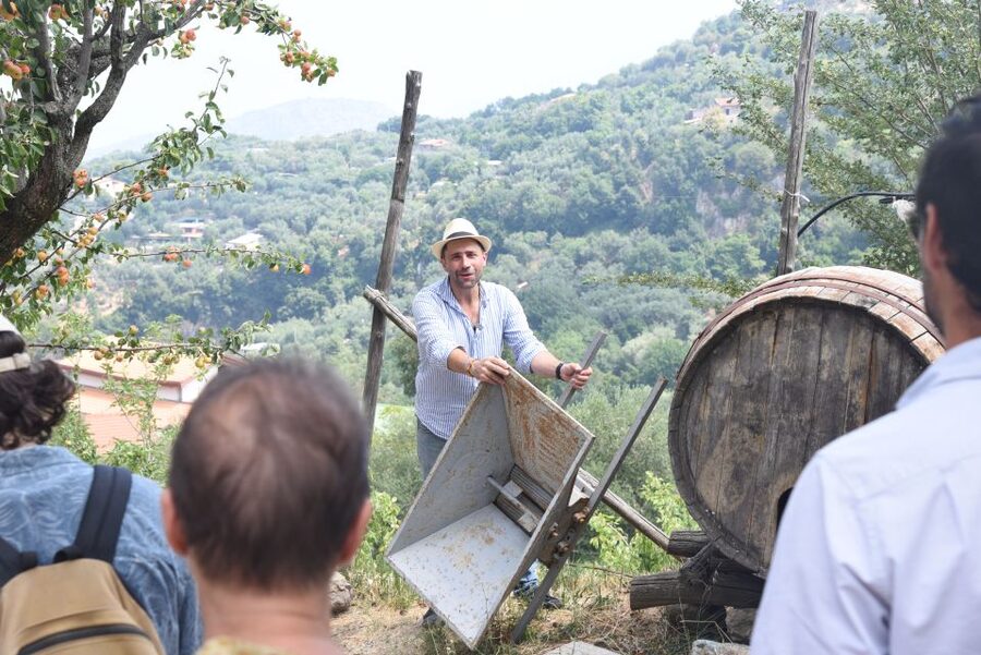 Sorrento: Farm Tour with Cheese Tasting & Pizza Making Class - Key points at a glance