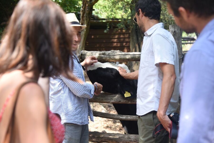 Sorrento: Farm Tour with Cheese Tasting & Pizza Making Class - Practical details before you go